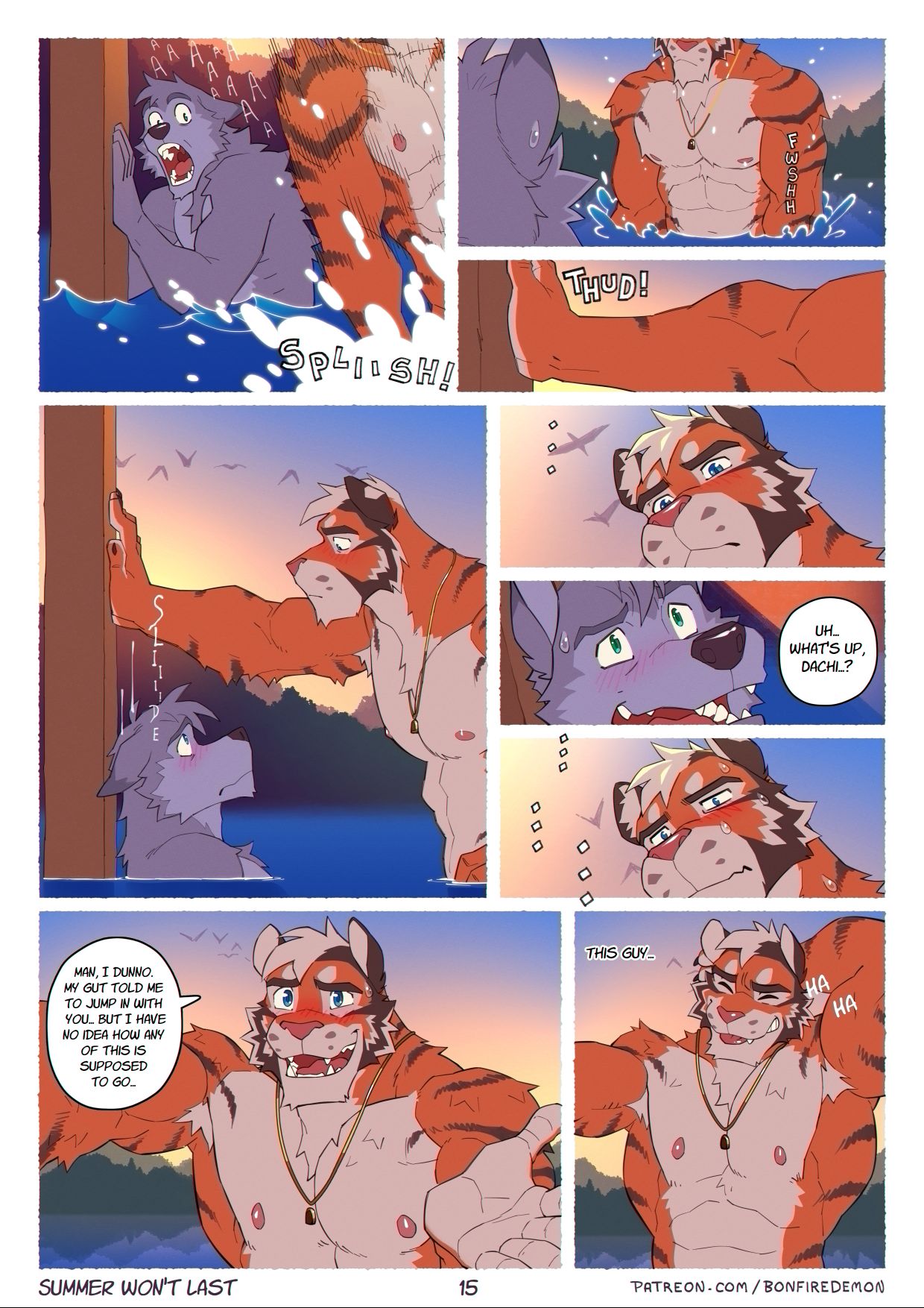 Page 15